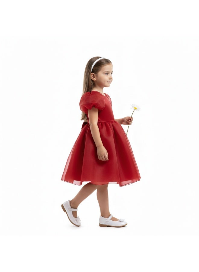 D'Daniela Organza Puff Sleeve Dress - Image 2